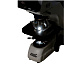 Цифровой микроскоп Levenhuk MED D35T подсветка