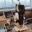 Микроскоп Nikon SMZ25 в работе