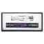 Ermenrich Ping RD20 фиолетовый - дозиметр