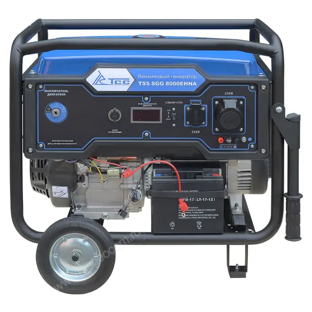 генератор TSS SGG 8000EHNA