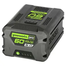Greenworks GD60SS2 с АКБ 5 А.ч. + ЗУ 10А двойное