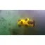 подводный дрон Chasing M2 ROV (100 м)