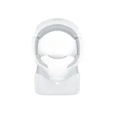 DJI Goggles