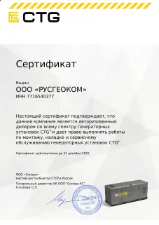 CTG CG17000TSA - газовый генератор