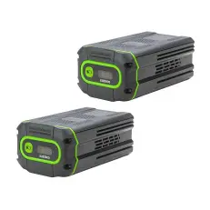 Greenworks 82SN22 с АКБ 2х8 Ач + ЗУ 8А двойное