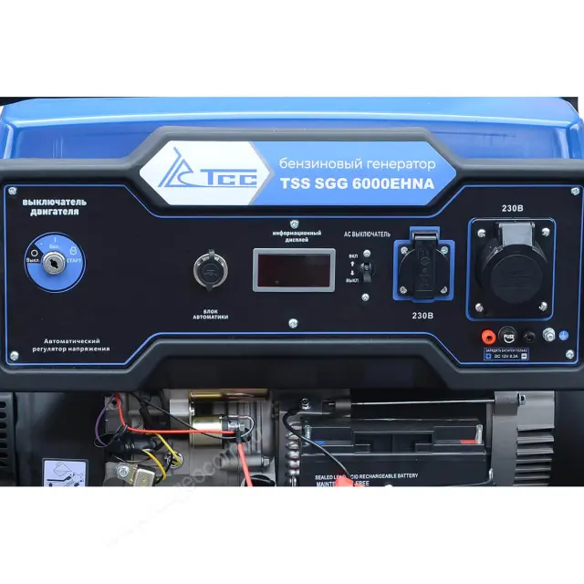 TSS SGG 6000EHNA с АВР