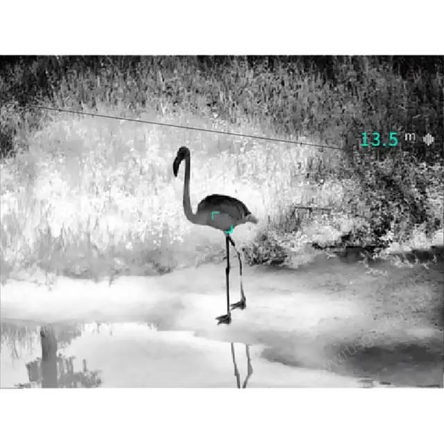 Купить тепловизионный бинокль Guide TN450