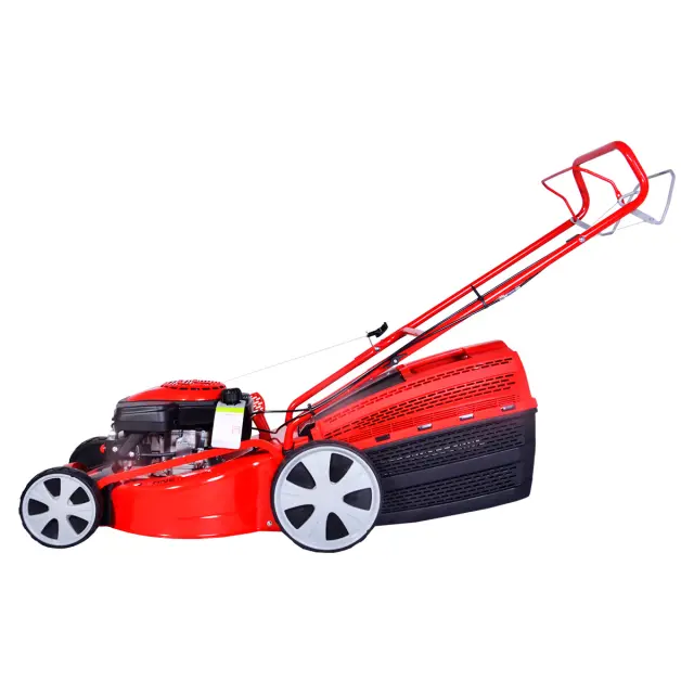 GEOS Comfort 46 SP-S 213169 - бензиновая газонокосилка самоходная