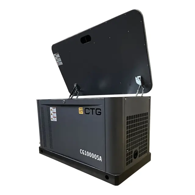 CTG CG10000SA - газовый генератор