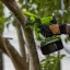 Greenworks G24CS15 24V (15см), с АКБ 4 Ач с USB-C + ЗУ - аккумуляторная цепная пила