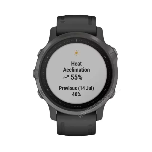 Купить часы Garmin Fenix 6S Sapphire серый DLC с черным ремешком