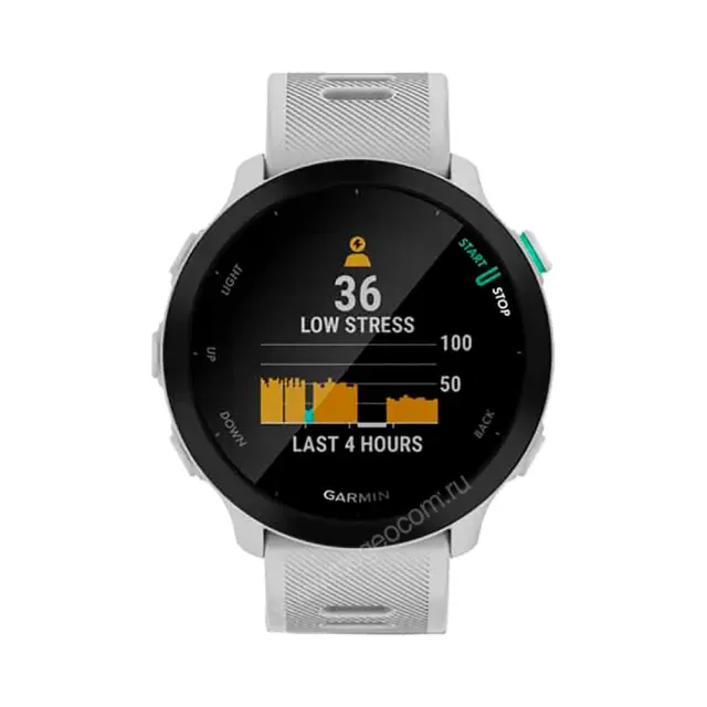Часы для бега Garmin Forerunner 55 белые
