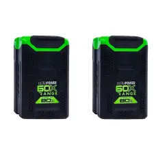 Greenworks GD60PST бесщеточный, 60V с 2хАКБ 8 Ач + ЗУ 2А