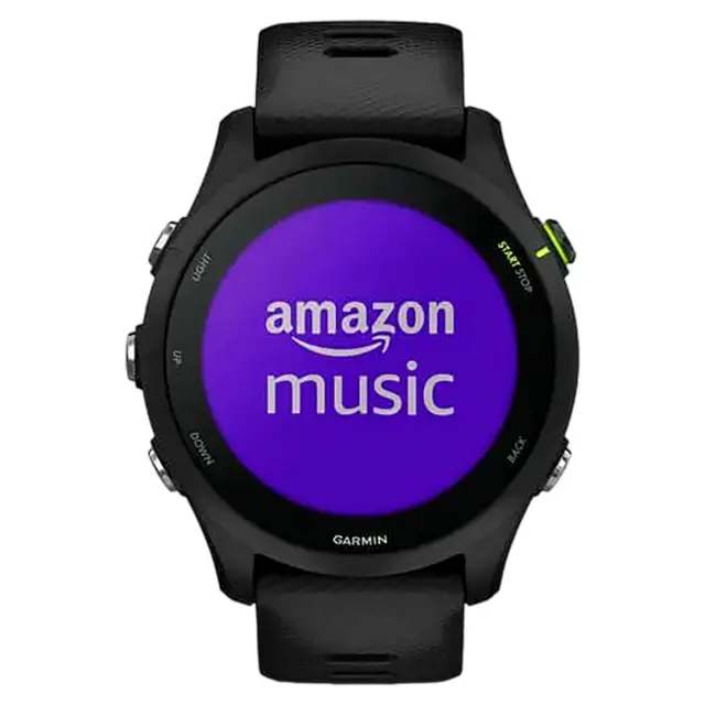 smart Часы Garmin Forerunner 255 Music с черным ремешком
