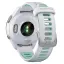 Garmin Forerunner