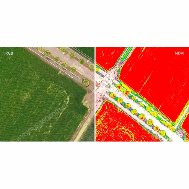 DJI Phantom 4 Multispectral + Мобильная станция D-RTK 2 High Precision GNSS