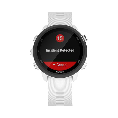 Garmin 245s 2025