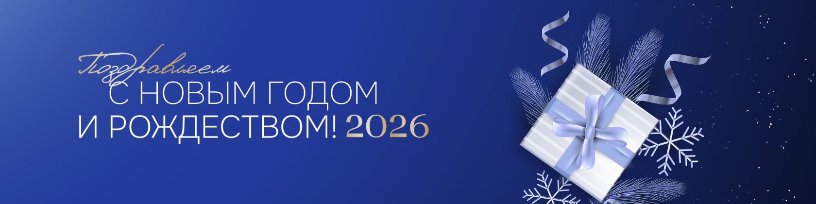 С новым 2026 годом