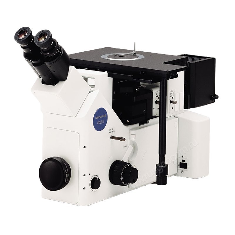 OLYMPUS GX51. Купить микроскоп OLYMPUS GX51 цена