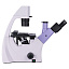 MAGUS Bio VD300 - биологический цифровой микроскоп