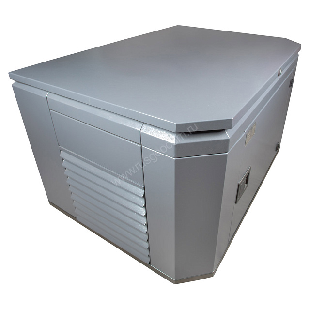 SUNREKA G10000EAX в тихом зимнем кожухе 1200 RAL 7024 - бензиновый генератор