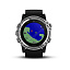 Часы для плавания Garmin Descent Mk1 Silver w/Black Band