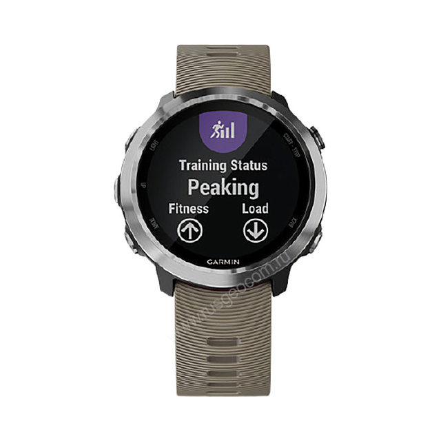 Garmin Forerunner 645