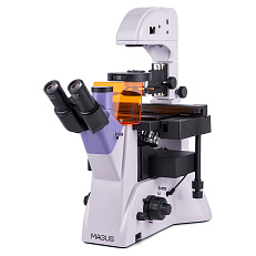 Микроскоп люминесцентный инвертированный цифровой MAGUS Lum V500L