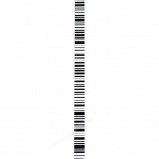 GSS113